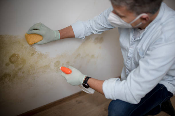 Best Mold Remediation Services  in Center, CO