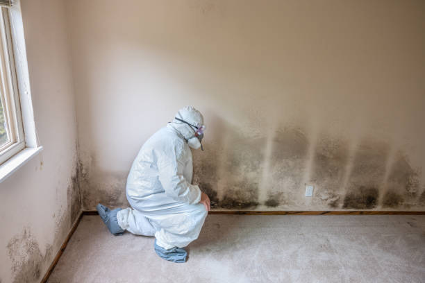 Best Mold Damage Repair  in Center, CO